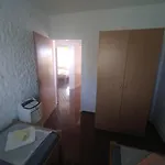 Vila Kula 3*